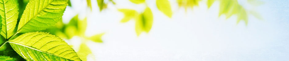 banner-via